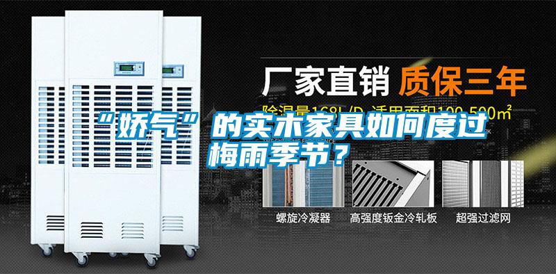 “嬌氣”的實木家具如何度過梅雨季節(jié)？