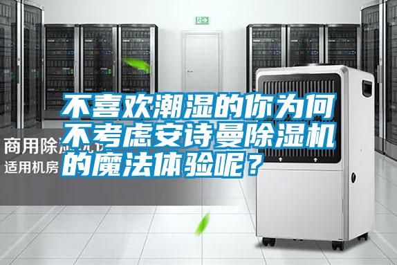 不喜歡潮濕的你為何不考慮安詩曼除濕機的魔法體驗呢？