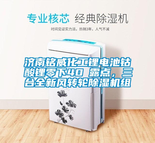 濟(jì)南銘威化工鋰電池鈷酸鋰零下40℃露點(diǎn)，三臺(tái)全新風(fēng)轉(zhuǎn)輪除濕機(jī)組