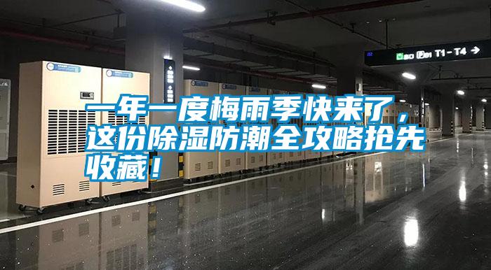 一年一度梅雨季快來了,這份除濕防潮全攻略搶先收藏!