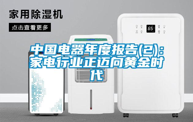 中國電器年度報告(2):家電行業正邁向黃金時代