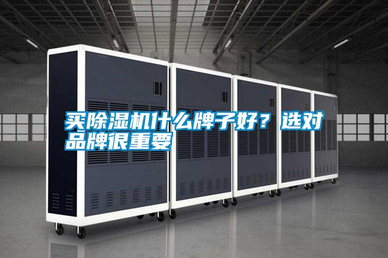 買除濕機什么牌子好？選對品牌很重要