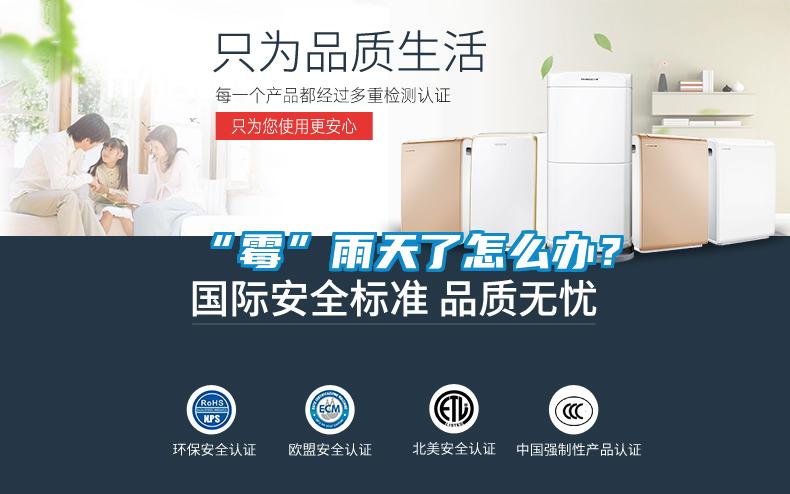 “霉”雨天了怎么辦？