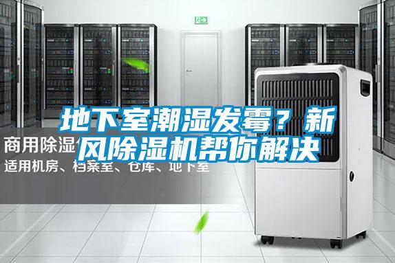 地下室潮濕發(fā)霉?新風除濕機幫你解決
