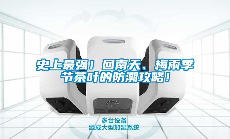 史上最強!回南天、梅雨季節茶葉的防潮攻略!