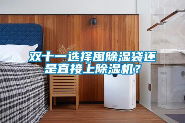雙十一選擇囤除濕袋還是直接上除濕機？
