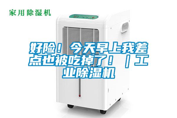 好險!今天早上我差點也被吃掉了!|工業除濕機