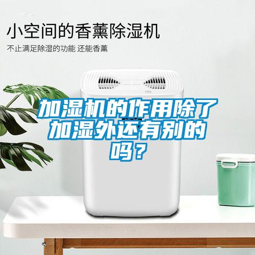 加濕機的作用除了加濕外還有別的嗎？