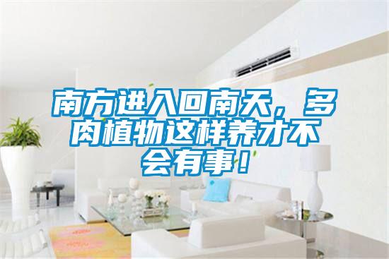 南方進入回南天,多肉植物這樣養才不會有事!