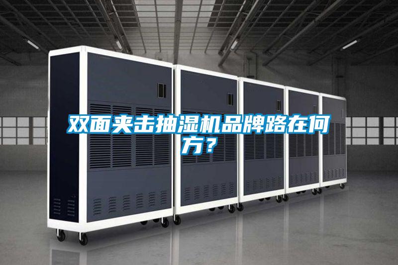 雙面夾擊抽濕機品牌路在何方？