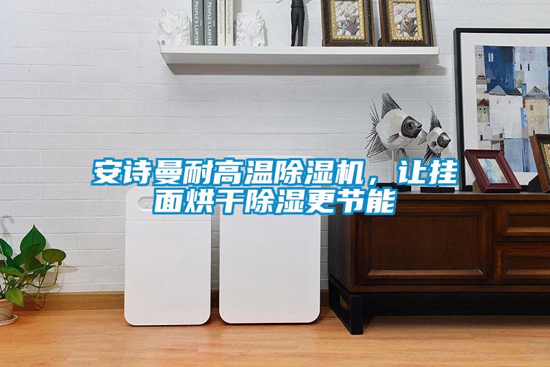 安詩曼耐高溫除濕機(jī),讓掛面烘干除濕更節(jié)能