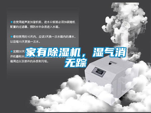 家有除濕機,濕氣消無蹤