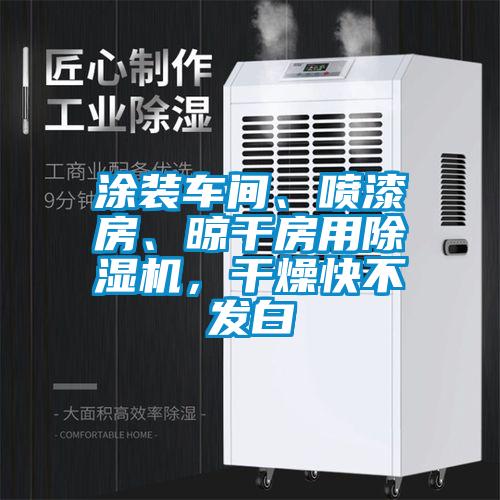 涂裝車間、噴漆房、晾干房用除濕機,干燥快不發白