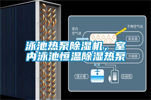 泳池熱泵除濕機,室內泳池恒溫除濕熱泵