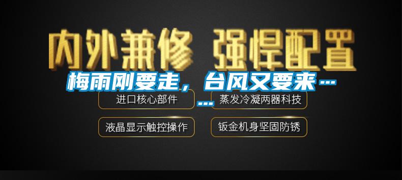 梅雨剛要走,臺風又要來……