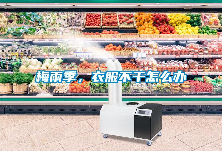 梅雨季，衣服不干怎么辦