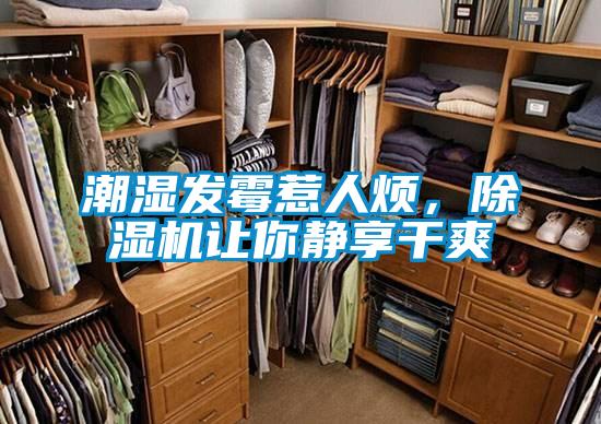 潮濕發(fā)霉惹人煩，除濕機(jī)讓你靜享干爽
