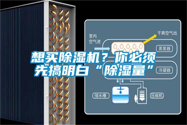 想買除濕機？你必須先搞明白“除濕量”