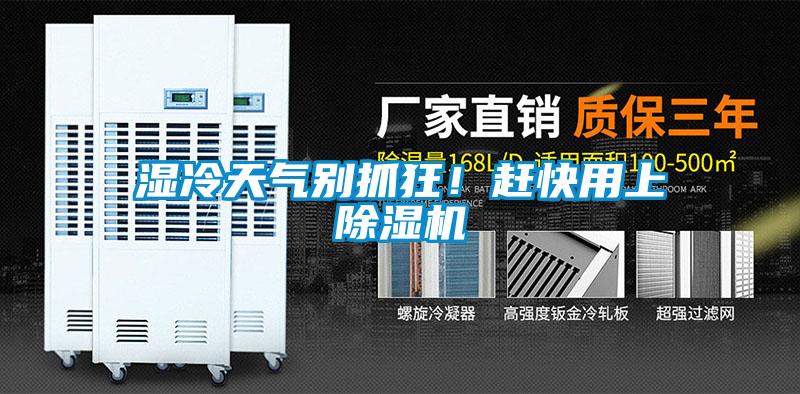 濕冷天氣別抓狂！趕快用上除濕機