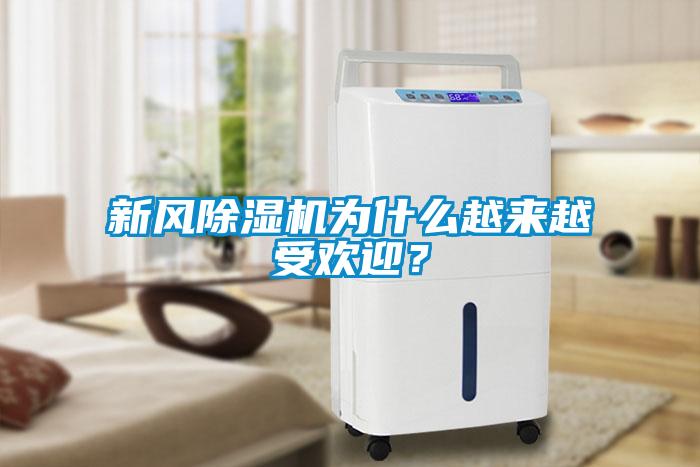 新風(fēng)除濕機為什么越來越受歡迎?