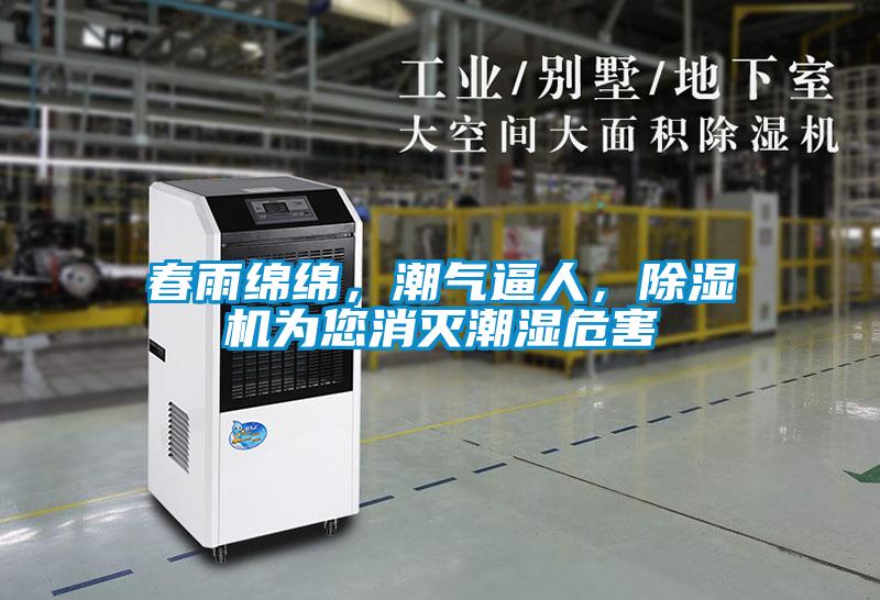 春雨綿綿,潮氣逼人,除濕機為您消滅潮濕危害