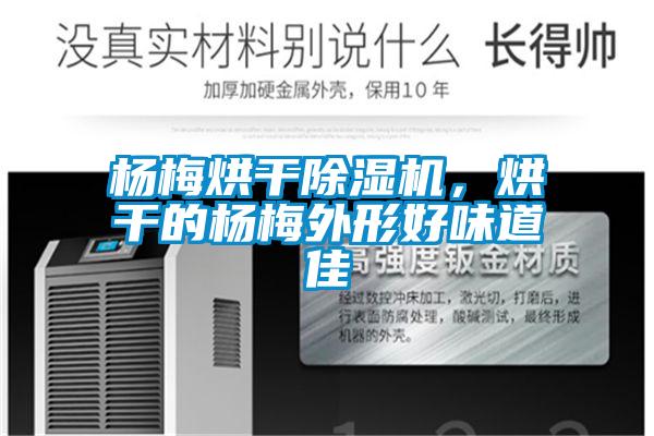 楊梅烘干除濕機，烘干的楊梅外形好味道佳