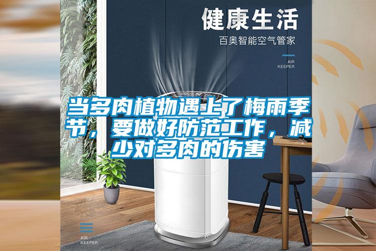 當(dāng)多肉植物遇上了梅雨季節(jié),要做好防范工作,減少對多肉的傷害