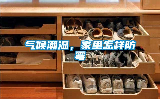 氣候潮濕,家里怎樣防霉