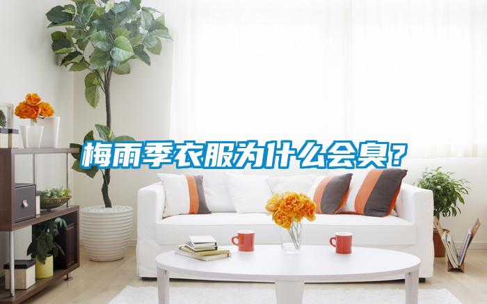 梅雨季衣服為什么會臭?