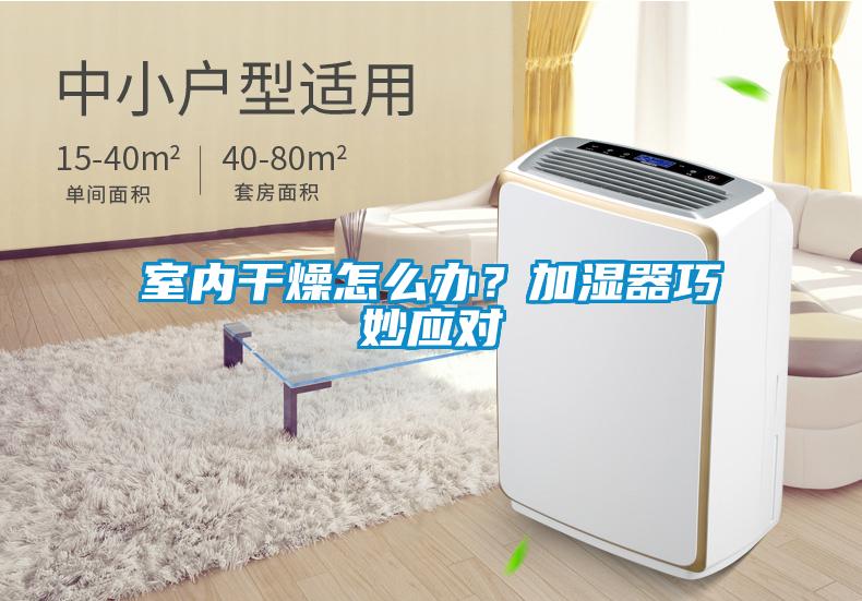 室內(nèi)干燥怎么辦?加濕器巧妙應(yīng)對(duì)