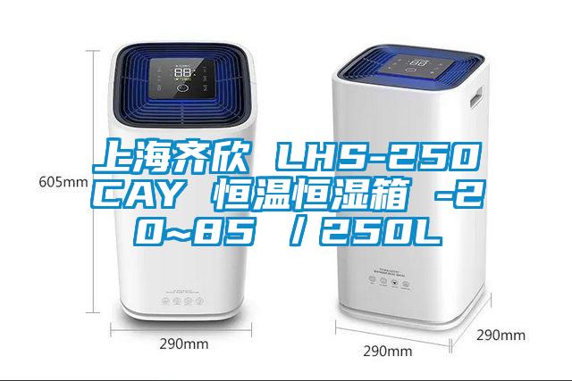 上海齊欣 LHS-250CAY 恒溫恒濕箱 -20~85℃/250L