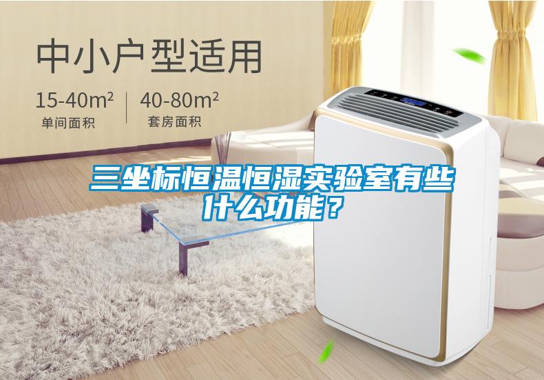三坐標(biāo)恒溫恒濕實驗室有些什么功能?