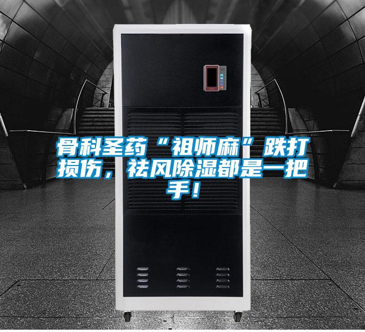 骨科圣藥“祖師麻”跌打損傷，祛風除濕都是一把手！