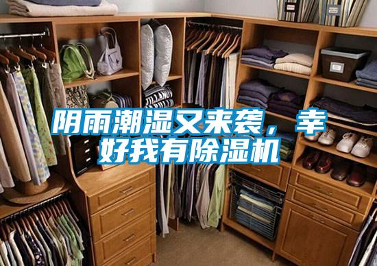 陰雨潮濕又來襲，幸好我有除濕機