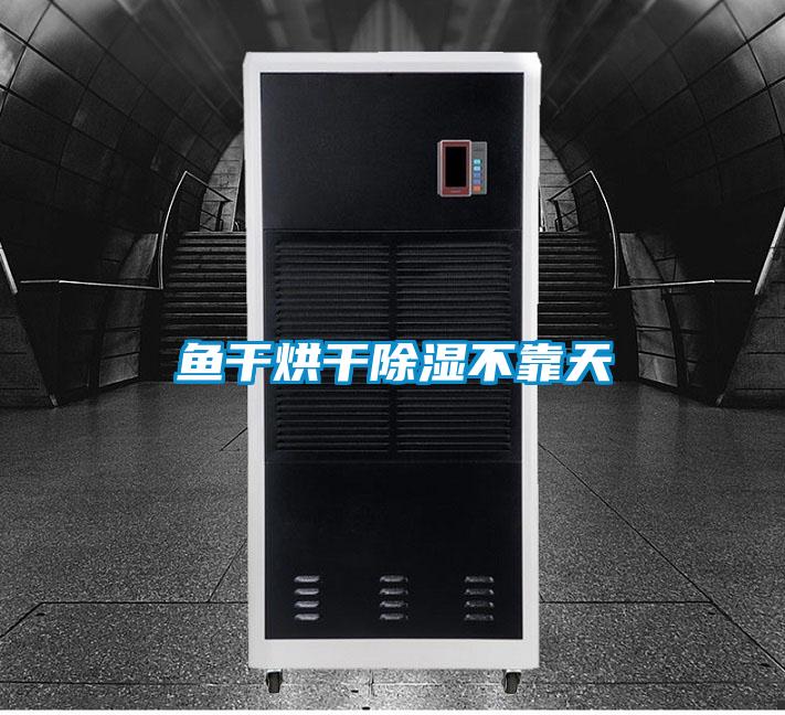 魚(yú)干烘干除濕不靠天