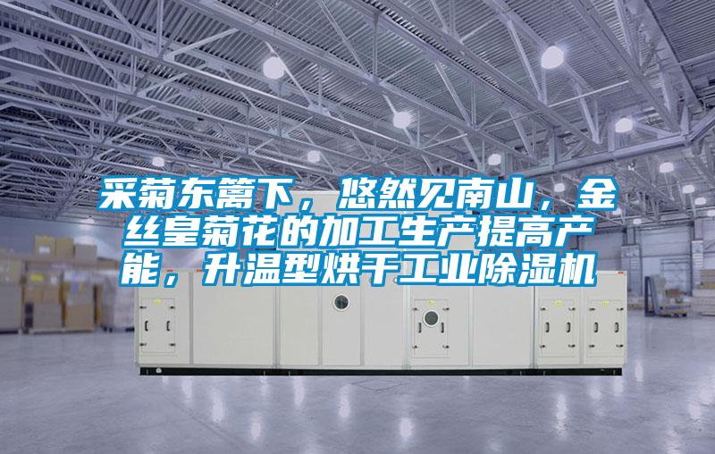 采菊東籬下，悠然見南山，金絲皇菊花的加工生產提高產能，升溫型烘干工業除濕機