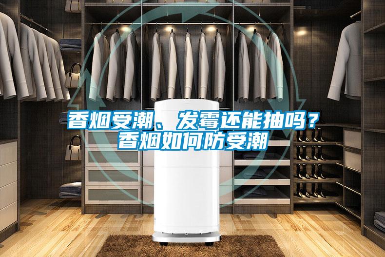 香煙受潮、發霉還能抽嗎？香煙如何防受潮