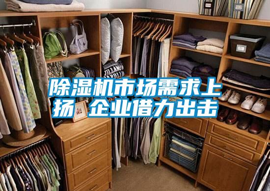除濕機市場需求上揚 企業借力出擊