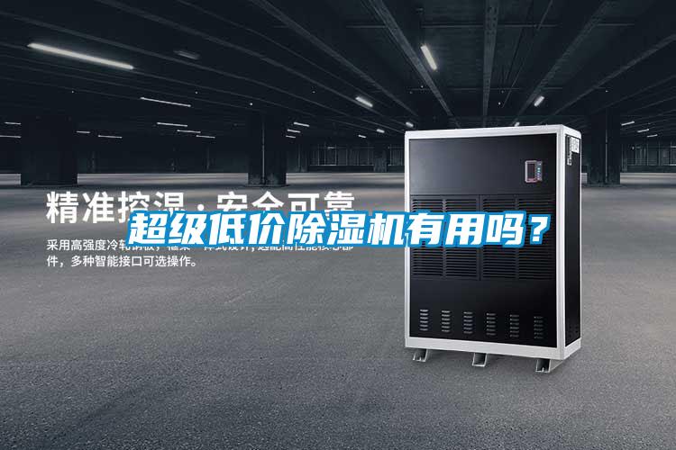超級(jí)低價(jià)除濕機(jī)有用嗎?
