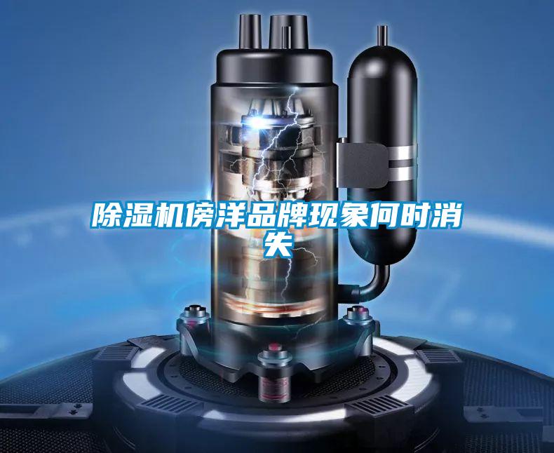 除濕機(jī)傍洋品牌現(xiàn)象何時(shí)消失