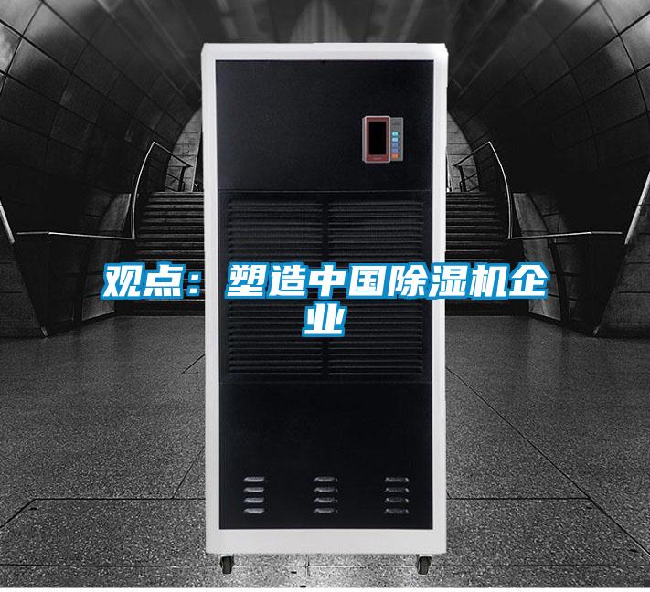觀點:塑造中國除濕機企業