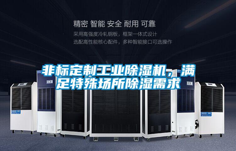 非標定制工業除濕機,滿足特殊場所除濕需求