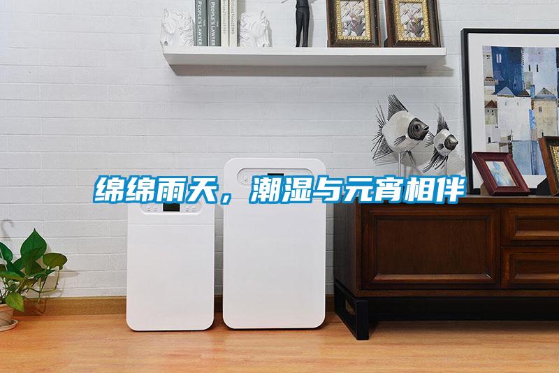 綿綿雨天,潮濕與元宵相伴