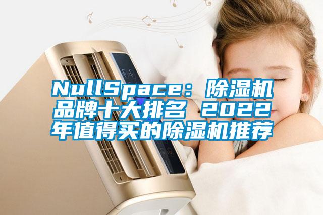 NullSpace:除濕機品牌十大排名 2022年值得買的除濕機推薦