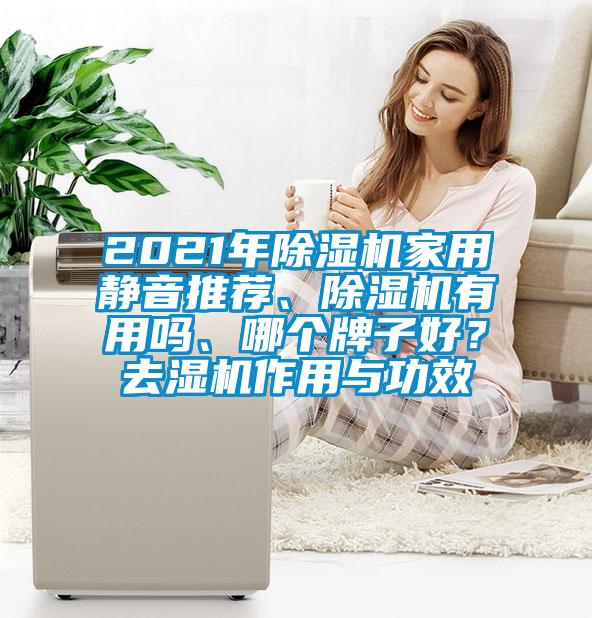 2021年除濕機(jī)家用靜音推薦、除濕機(jī)有用嗎、哪個(gè)牌子好?去濕機(jī)作用與功效