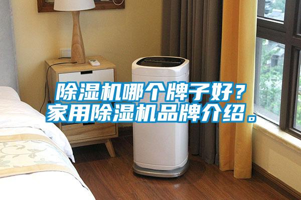 除濕機(jī)哪個(gè)牌子好？家用除濕機(jī)品牌介紹。