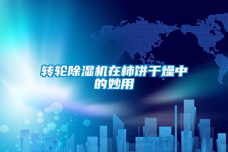 轉(zhuǎn)輪除濕機(jī)在柿餅干燥中的妙用