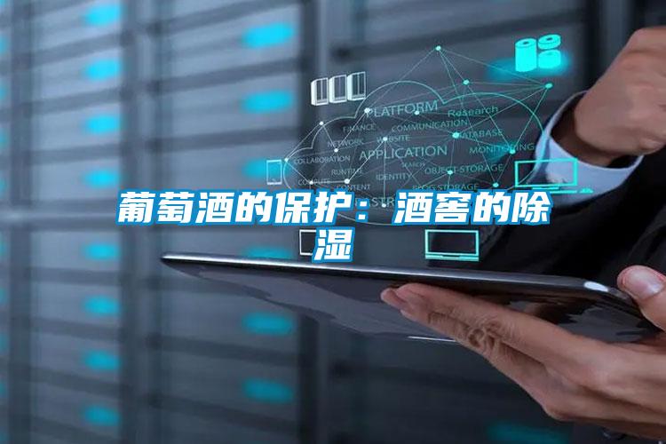葡萄酒的保護:酒窖的除濕