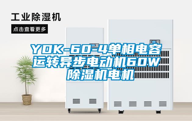YDK-60-4單相電容運(yùn)轉(zhuǎn)異步電動(dòng)機(jī)60W 除濕機(jī)電機(jī)