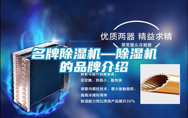名牌除濕機—除濕機的品牌介紹